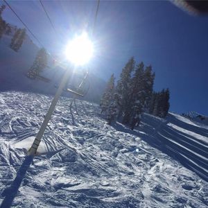 Meet your Posher, Lance